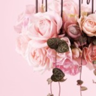 wallpaper_flori_roz_trandafiri-150x150