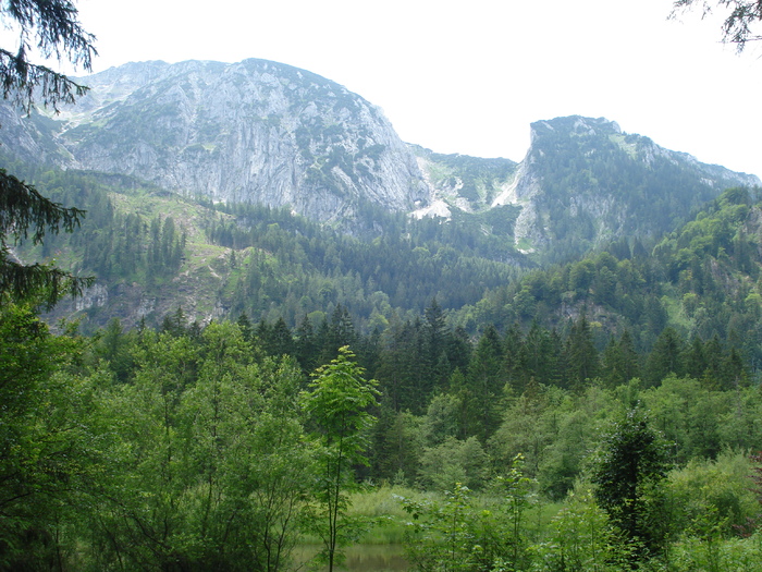 Austria (2009, July 01) Austria (2009, July 01)
