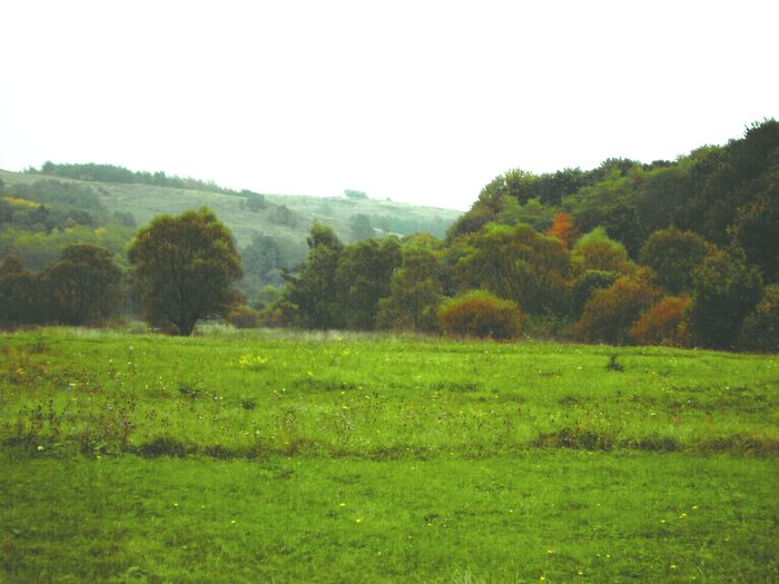 DSC_1157