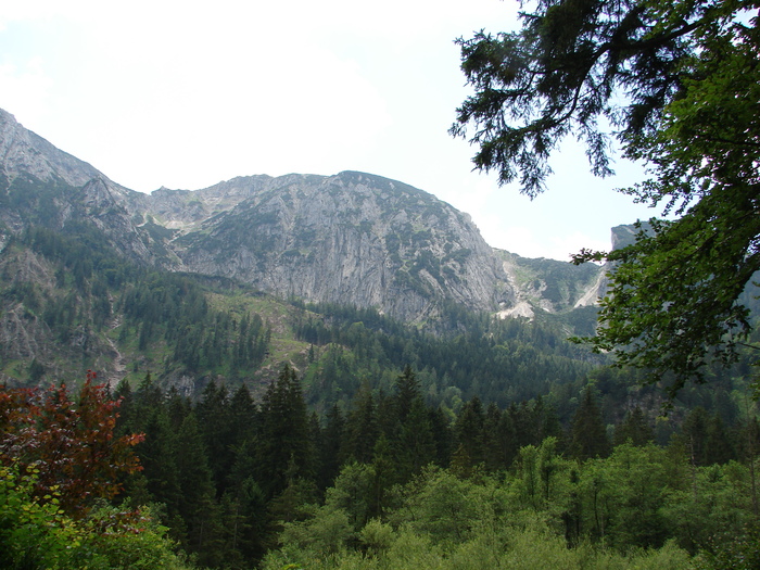Austria (2009, July 01) Austria (2009, July 01)