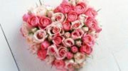 trandafiri-in-forma-de-inima_thumbsmall