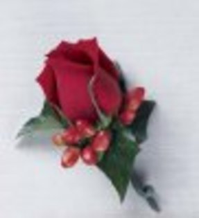 felicitare_46_365309_trandafir - florile mele preferate