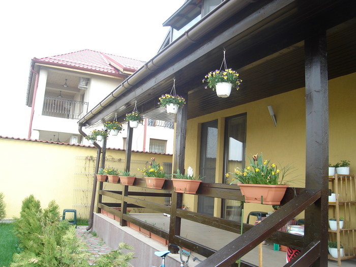 DSC07479 - Primavara 2010