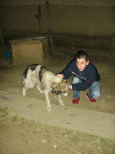 IMGP0862
