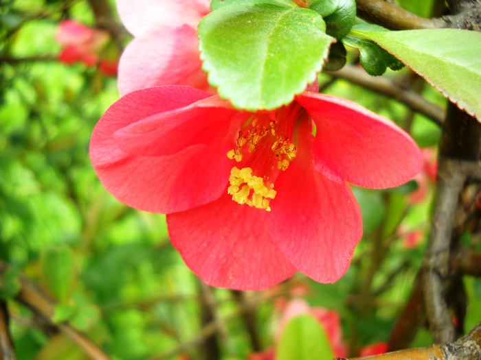 Picture 110; 1.81mb jpeg 4/15/2010
