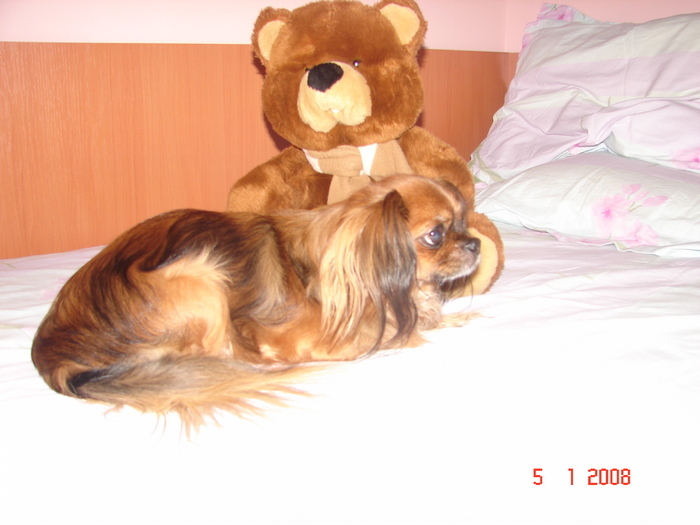 DSC05335; Peg and my teddy bear
