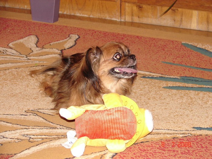 DSC05588; Peg si una din jucarii
