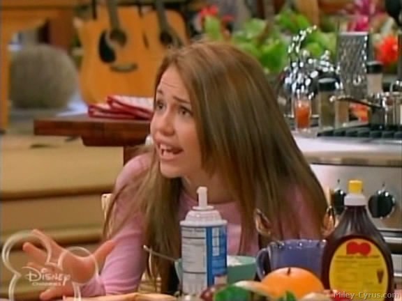 miley-cyrus_dot_com-hannahmontana-ep1caps508