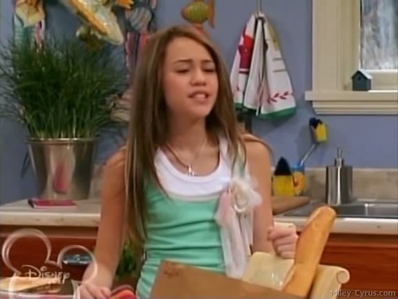 miley-cyrus_dot_com-hannahmontana-ep1caps585