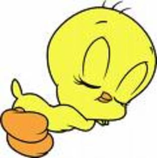 images (45) - Tweety