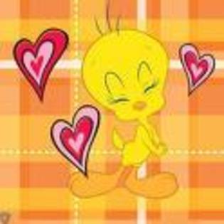 images (37) - Tweety