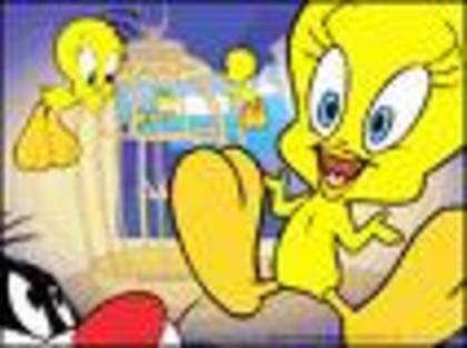 images (9) - Tweety