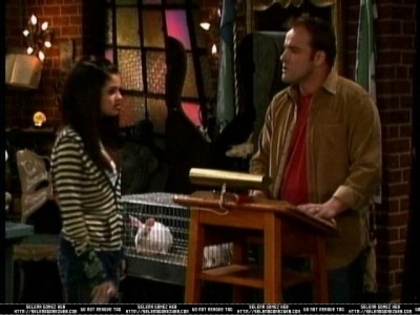 normal_wowpS01E01_0080 - Wizards of Waverly Place Episode 02 The Crazy Ten Minute Sale