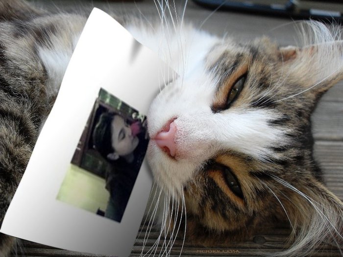 3-fr-44e899503fc2701da60d85dd762ac950