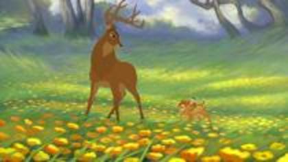 13 - 00000000000bambi