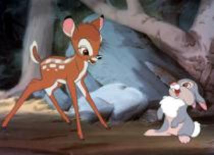 20 - 00000000000bambi