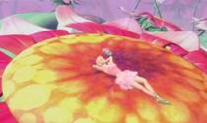 14 - 000000000000000barbi fairytopia