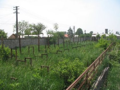 mizil si filme tirg sanatate 238[1] - evolutie stadion mizil