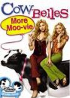 images - Cow Belles