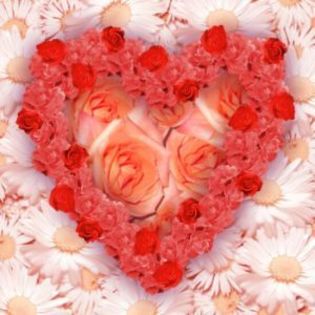 Flower_heart2-17572 - Love