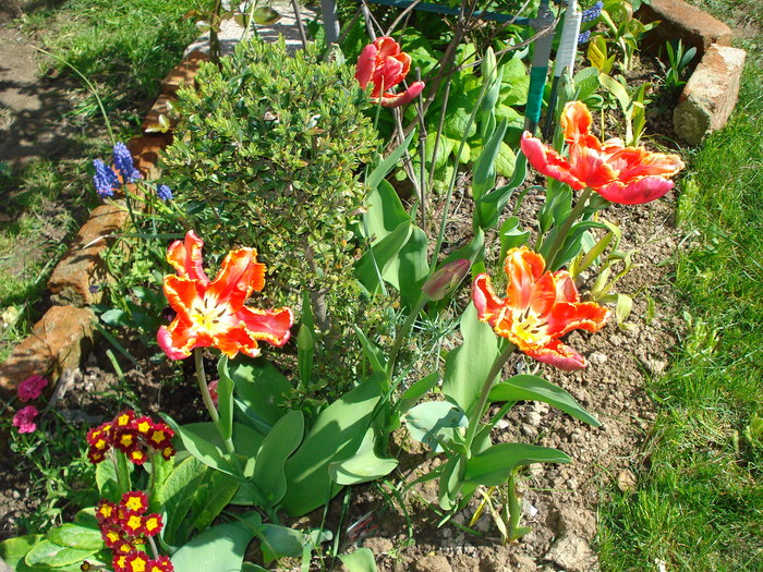 DSC01943