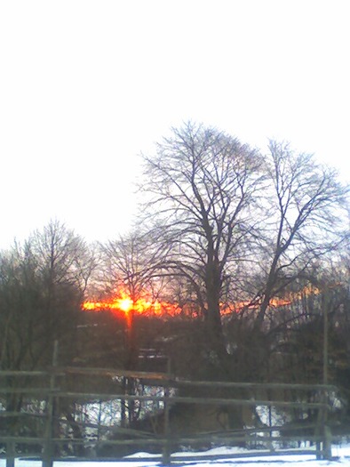 Rasarit soare 15 martie 2010
