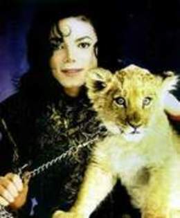 10023431_YPGQMZHOM - Michael Jackson shi animalele sale