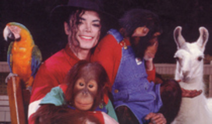 dfgbhdgvnhf - Michael Jackson shi animalele sale