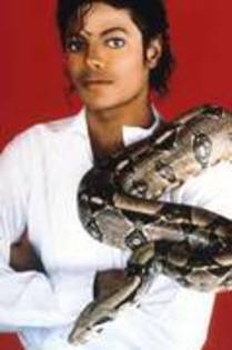 ILYUAGYJBUXOLUSSSFP - Michael Jackson shi animalele sale