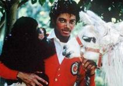 JGZGWZGGLCAXWVXKGCI - Michael Jackson shi animalele sale