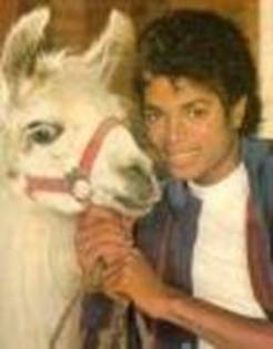 KAIKVIKNVGODWGAVRON - Michael Jackson shi animalele sale