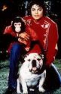 MJwdognChip - Michael Jackson shi animalele sale