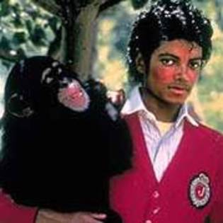 QZQOYJUJNPQBEELFWUD - Michael Jackson shi animalele sale