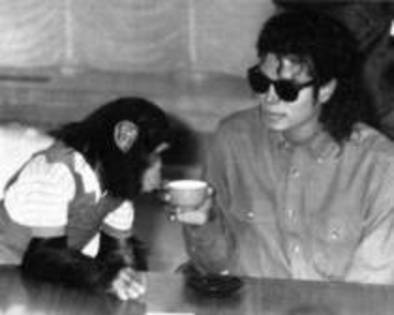 ZGRUQWPGGZMPIWIWPBO - Michael Jackson shi animalele sale