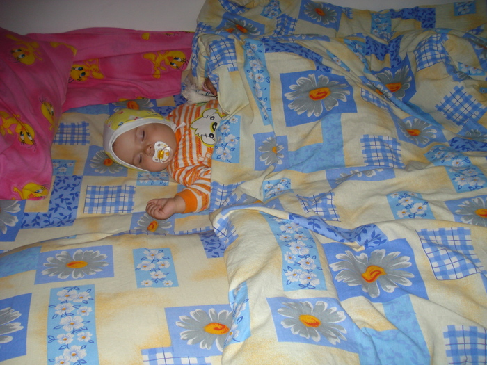 DSC08095; Repriza de nani
