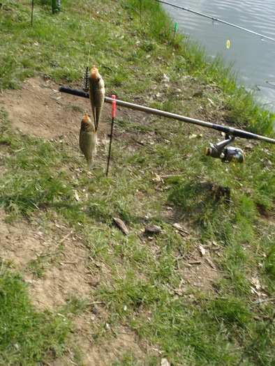 DSC08167; Gianni a prins 2 odata
