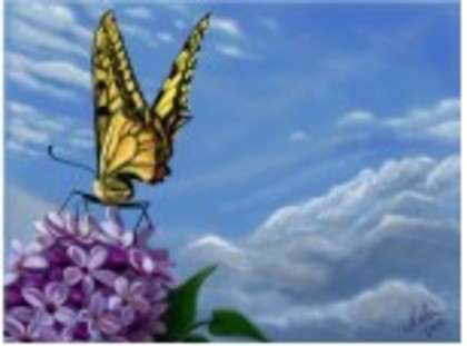 1359961 - aproape toate pozele care le am pe pc