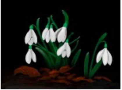 1337899 - aproape toate pozele care le am pe pc