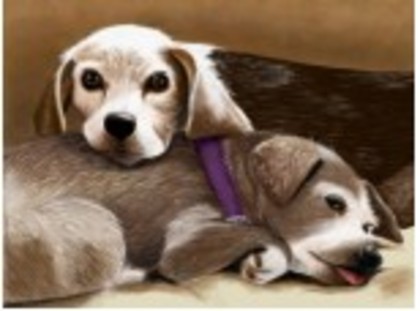 1336881 - aproape toate pozele care le am pe pc