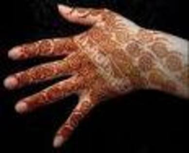 Heena-21