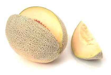 melon-persian[1] - care este fructul tau favorit