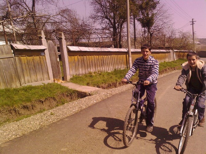 Fotografii-0096 - bike