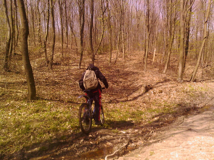 Fotografii-0111 - bike