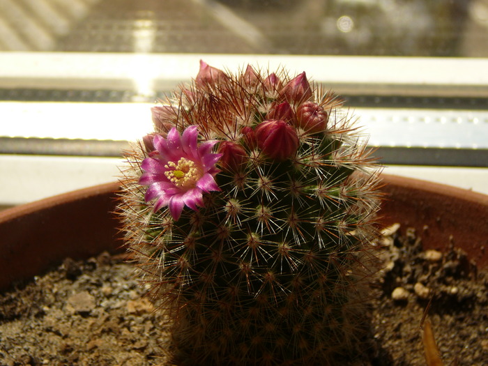 P1050408