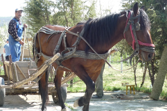 calutul carand nisip si pietris
