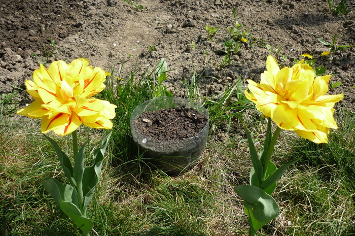 18 aprilie 2010