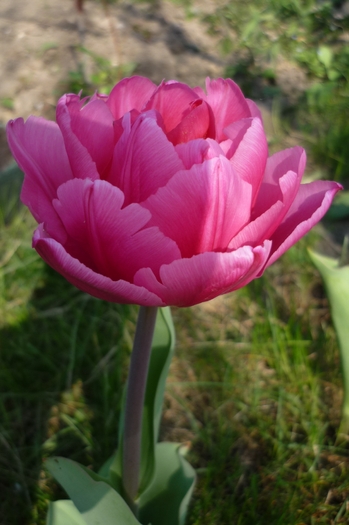 18 aprilie 2010