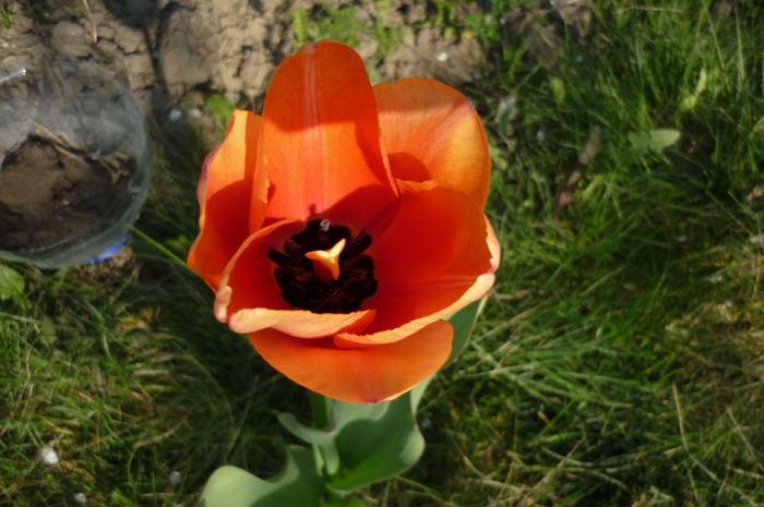 18 aprilie 2010