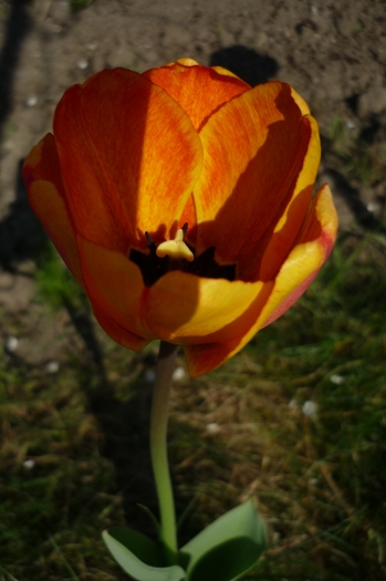 18 aprilie 2010