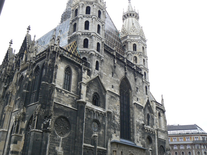 P1030431; Catedrala de la Stephanplatz
